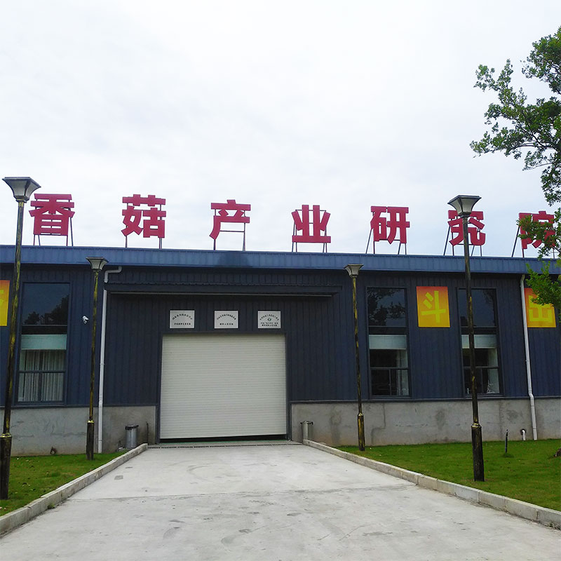 华中香菇产业研究院